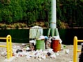 �S�~���̂Ă�ȁI�I