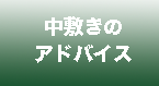 中敷について