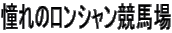̃Vn
