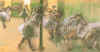 degas.jpg (23654 oCg)