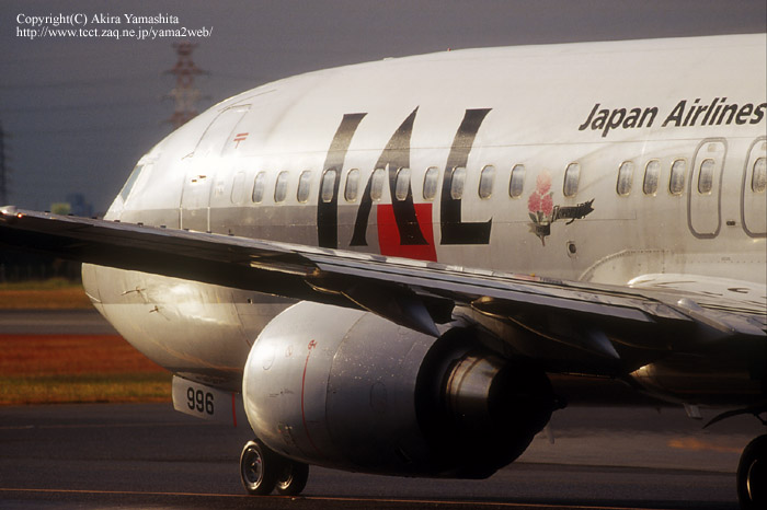 ITM015223NHP.JPG
