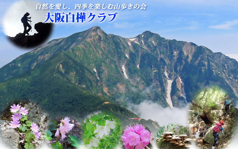 自然を愛し、四季を楽しむ山歩きの会「大阪白樺クラブ」