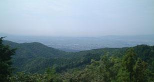 tyoubou