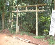 torii