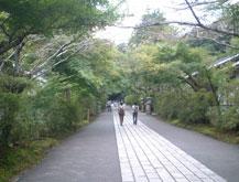 sandou