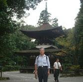 tahou