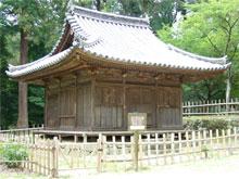 kongodo