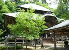 hondou