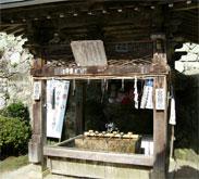 tyozu