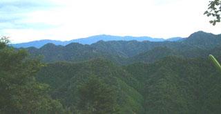 katuragi