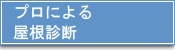 vɂ鉮ff