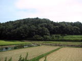 小沢城遠景