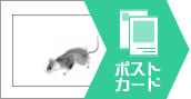 ポストカードデザイン・製作