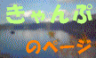 ����܂łɍs�����L�����v�̃��|�[�g�Ƃo���ꏊ�̏Љ�ł��B