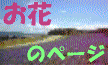 �䂪�Ƃ̃o���R�j�[�ɍ炢���ԁA���̓r���Ō�������̉Ԃ��Љ�B
