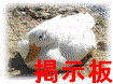 �a�a�r�@���K��̑��Ղ��c���Ă��������B