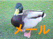 �悤������������ւ̃��[���͂����炩��ǂ���