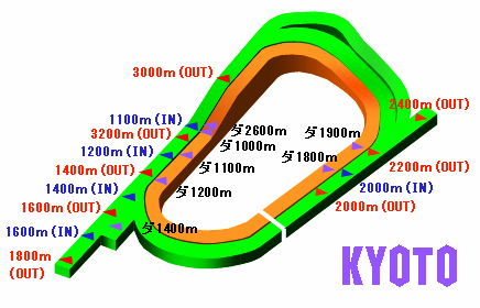 競馬 コース 阪神 場