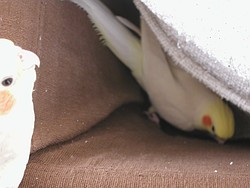 隙間好きの二人