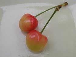 岡田家さくらんぼ