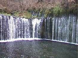 19991120白糸の滝.jpg (114736 バイト)