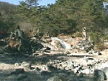 19991121西の河公園2.jpg (115616 バイト)