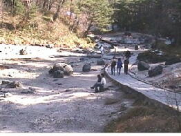 19991121西の河公園.jpg (110377 バイト)