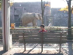 19991122東武公園.jpg (101120 バイト)