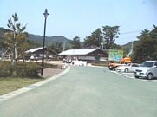 東洋町白浜海岸3.jpg (43037 バイト)