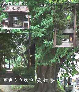 gakusei.html gakusei.html