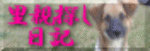 里親探し日記
