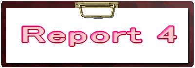 Report 4