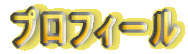 �v���t�B�[��