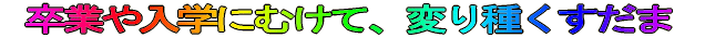Ǝ̃V[YAڂ@