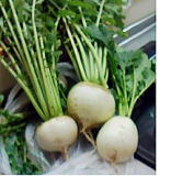 ��z��̐h���卪