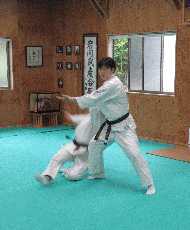 合気道合宿で呼吸投げ演武している道場長