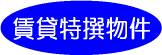 ݓ