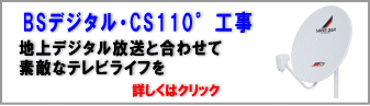 BSAeiHECS110AeiH