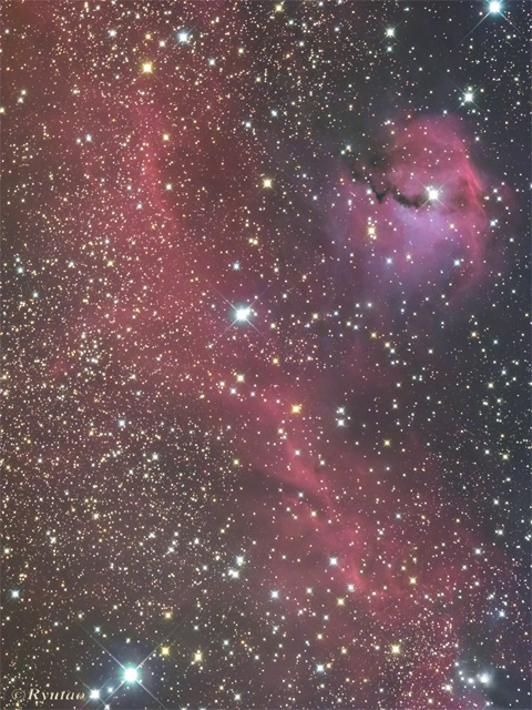 IC2177