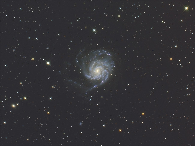 M101