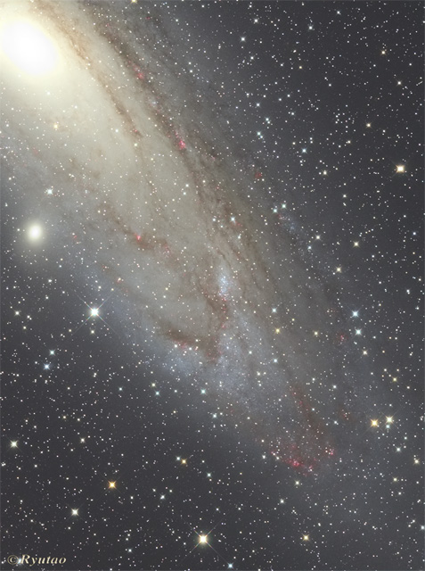 M31