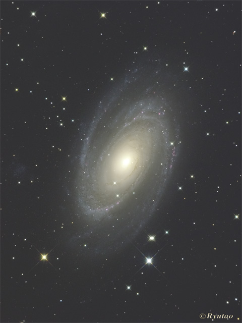 M81