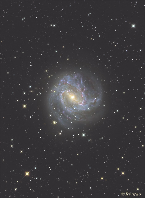 Pinwheel Galaxy