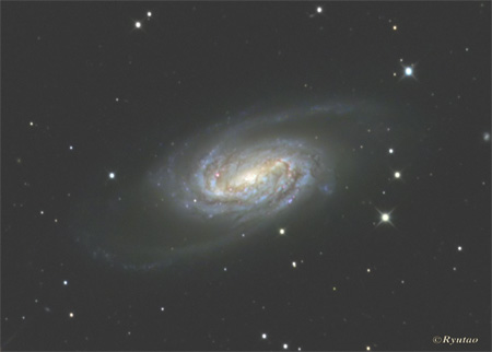 ngc2903