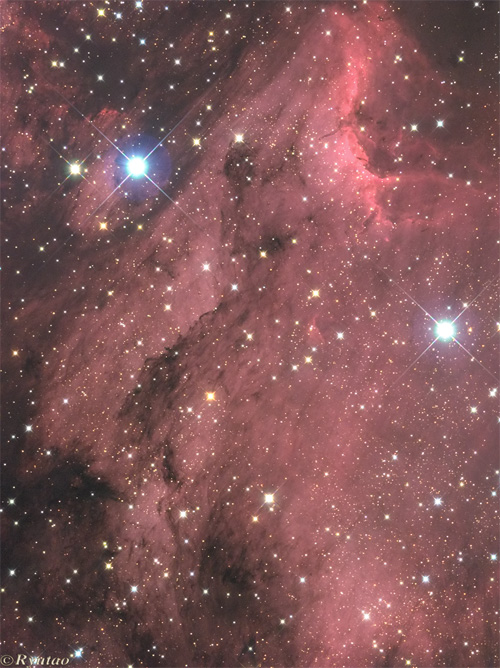 Pelican Nebula