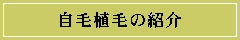 ѐAт̏Љ