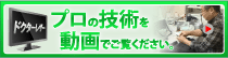 ドクターレザーがテレビで紹介されました