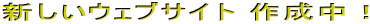 �V�����E�F�u�T�C�g �쐬���I