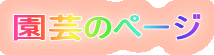 |̃y[W