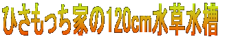 ЂƂ120cm